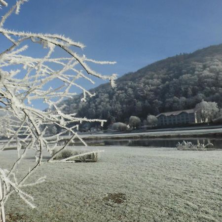 Hotel Weserstuben Bodenwerder Bagian luar foto